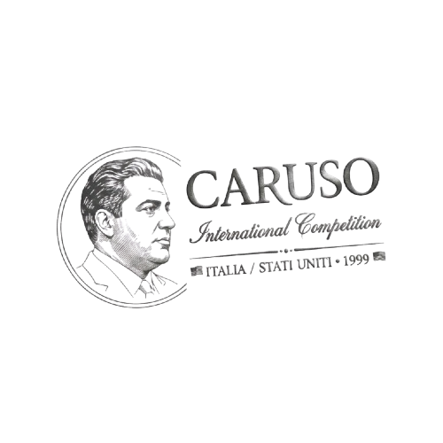 carussogris-removebg-preview